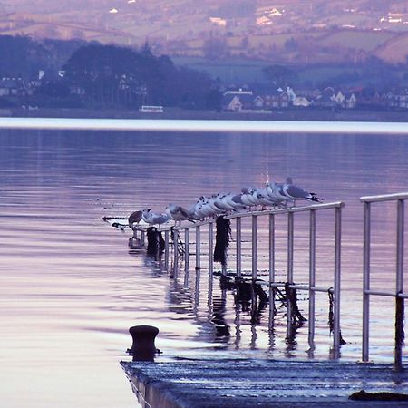 The Oystercatcher Lodge Carlingford Exterior photo